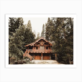 Forest Cabin Art Print