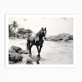 A Horse Oil Painting In Anse Cocos, Seychelles, Landscape 3 Art Print