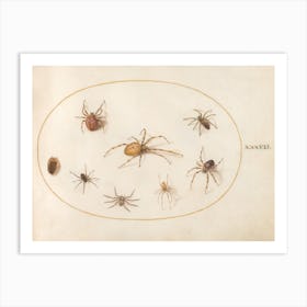 Seven Spiders And An Insect (c. 1575-1580), Joris Hoefnagel Art Print