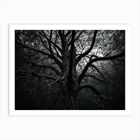 Tree In The Dark Art Print