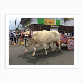 Parade in Costa Rica 1 Art Print