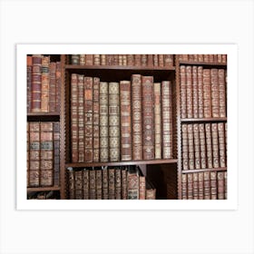 Library Old Vintage Books Art Print