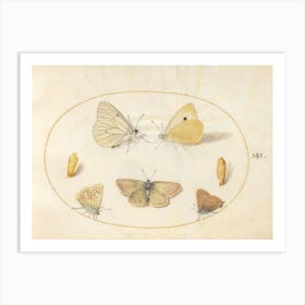 Five Butterflies and Two Chrysalides (c. 1575-1580), Joris Hoefnagel Art Print