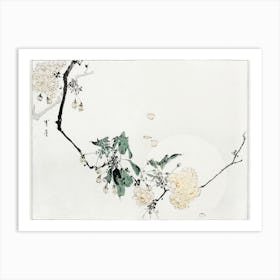 Cherry Blossom, Illustration From Bijutsu Sekai (1893 1896), Watanabe Seitei Art Print
