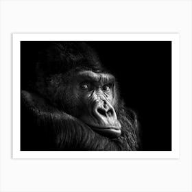 Gorilla In Black And White Art Print