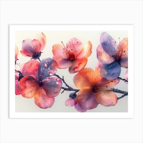 Watercolor Cherry Blossoms Art Print