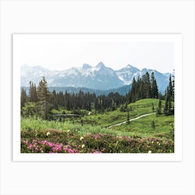Mount Rainier Summer Wildflower Adventures Art Print