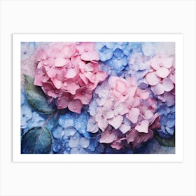 Hydrangeas 26 Art Print