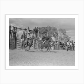 Untitled Photo, Possibly Related To Calf Roping, Rodeo At Quemado, New Mexico By Russell Lee Art Print