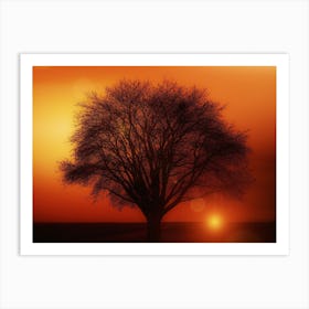 Sunset Tree Art Print