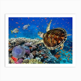 Sea Turtle In The Red Sea Art Print