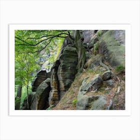 Trees and rocks in the Elbe Sandstone Mountains Art Print