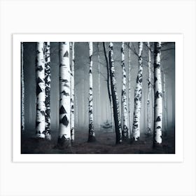 Birch Forest 70 Art Print