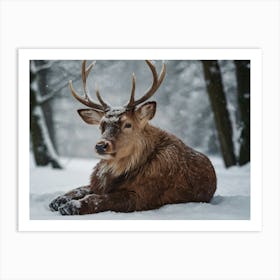 Deer In The Snow Art Print