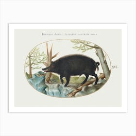 Wild Boar (1575–1580), Joris Hoefnagel Art Print