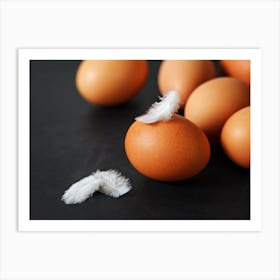 White Feathers On Eggs Art Print