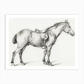 Standing Horse 3, Jean Bernard Art Print