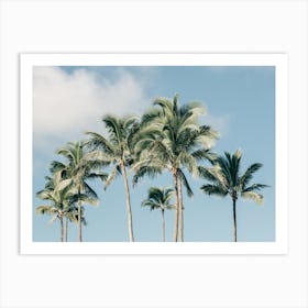 Palm Trees On Kauai In Hawaii Art Print