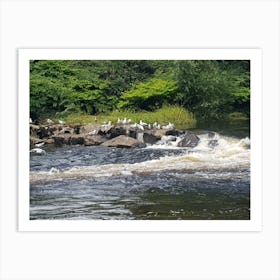 The Weir Art Print