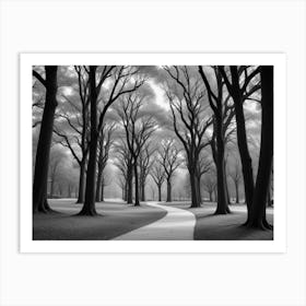 Black And White Trees Art Print