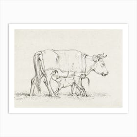 Calf Drinking With His Mother, Jean Bernard Art Print