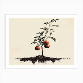 Tomato Plant 2 Art Print