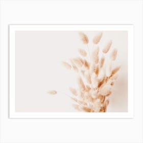 Bunny Tails Art Print