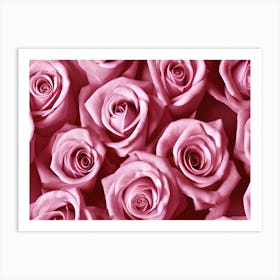 Pink Roses 7 Art Print