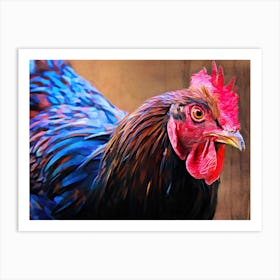 Australorp Chicken Art Print