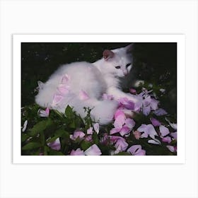 White Cat With Roses Art Print