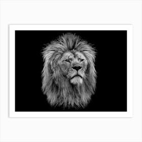 Lion Head 1 Art Print