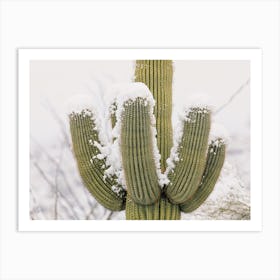 Snow Covered Saguaro Art Print