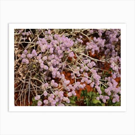 Purple Flowers On A Bush Art Print