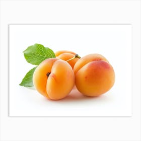 Apricots 13 Art Print