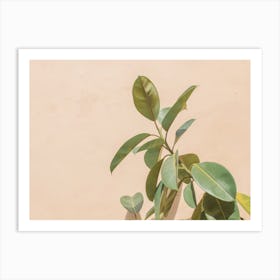 Rubber Plant Art Print