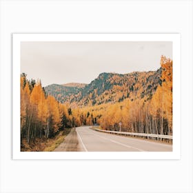 Autumn Road Trip Views Art Print