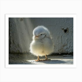 Cute Chicken Art Print