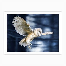 Barn Owl In Flight Art Print