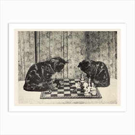 Chess Playing Kittens Photograph, Sarah J Eddy Art Print