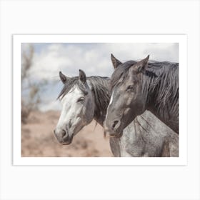 Pair Of Wild Horses Art Print