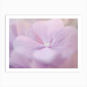 Purple Hydrangea Art Print