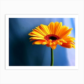 Gerbera Flower Art Print