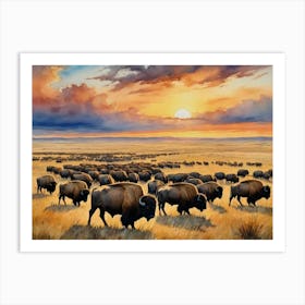 Bison Herd At Sunset Whispers of Winter Art Print