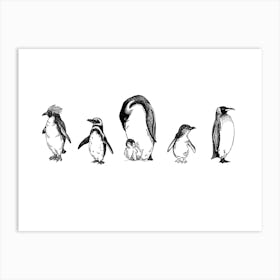 Penguin Line Up Art Print
