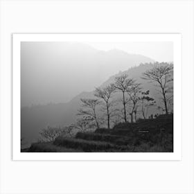 Trees In The Mountains Of Vietnam Art Print