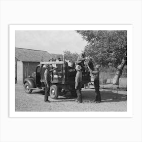 Mormon Farmer Loading His Bedroll And Saddles, A Group Of The Farmers Are Going To The Mountains To Bring Down Art Print