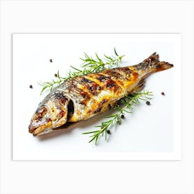 Grilled Fish With Herbs 1 Art Print