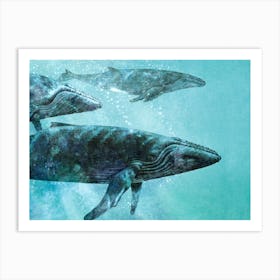 Whale Pod Art Print