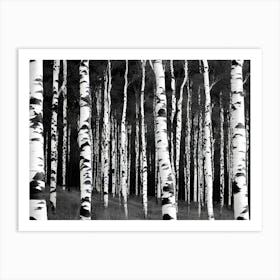 Birch Forest 122 Art Print