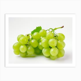 Green Grapes 8 Art Print